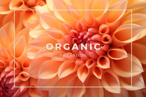 Elevate Your Visuals: The Power of 12 Botanical Backgrounds